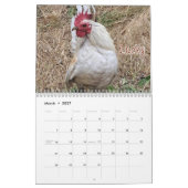 Hühnerkalender 2026 kalender (Mär 2027)