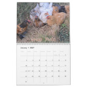 Hühnerkalender 2026 kalender (Jan 2027)