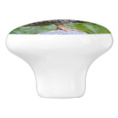 Hühnerknochen Keramikknauf (Seitenansicht)