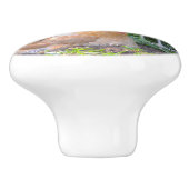 Hühnerknochen Keramikknauf (Seitenansicht)