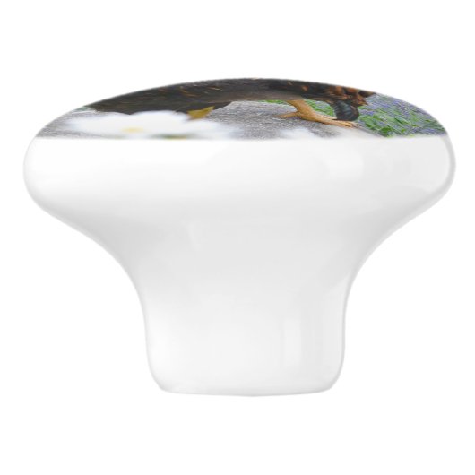 Hühnerknochen Keramikknauf (Seitenansicht)