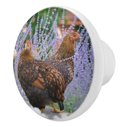 Hühnerknochen Keramikknauf (Rechts)