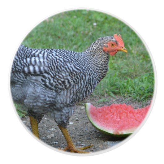 Hühnerknochen Keramikknauf (Vorderseite)