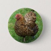 Hühnerknopf Button (Vorderseite)