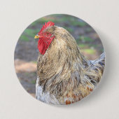 Hühnerknopf Button (Vorderseite)