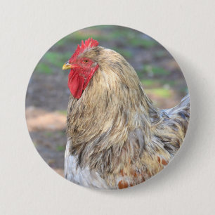 Hühnerknopf Button