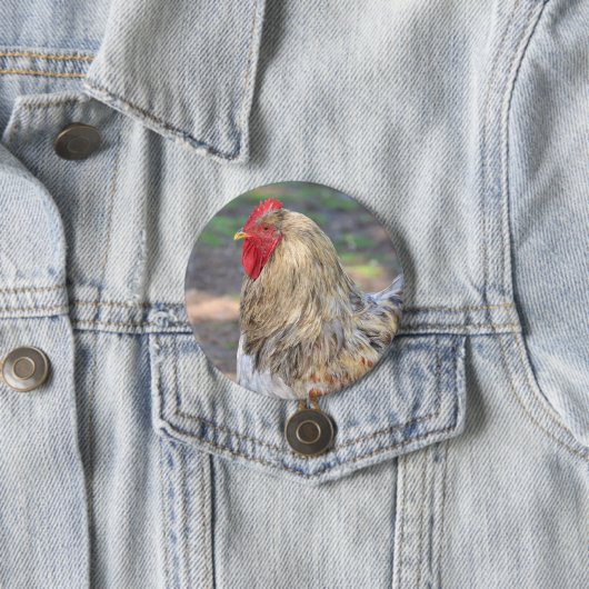 Hühnerknopf Button (Beispiel)