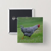 Hühnerknopf Button (Vorne & Hinten)