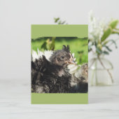 Hühnerküken (Stehend Vorderseite)