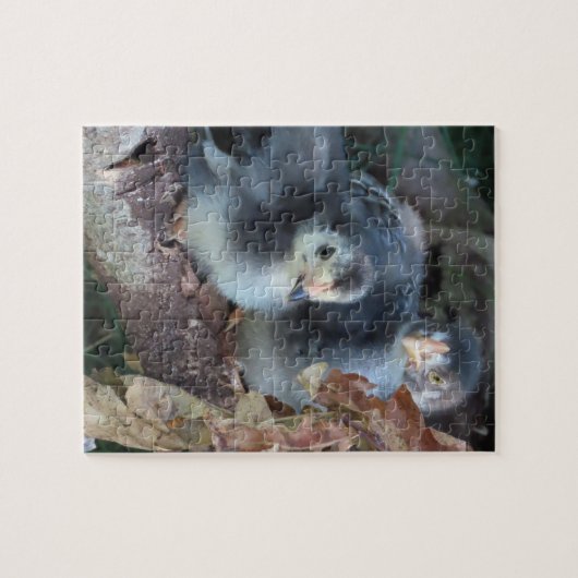 Hühnerküken Puzzle (Horizontal)