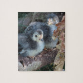 Hühnerküken Puzzle (Vertikal)