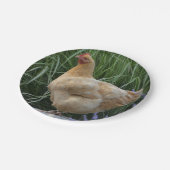 Hühnerpapier Pappteller (Schrägansicht)