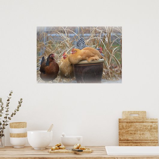 Hühnerposter Poster (Küche)