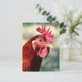 Hühnerpostkarte Postkarte (Stehend Vorderseite)