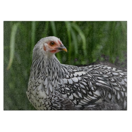 Hühnerschnitt Schneidebrett (Vorderseite)