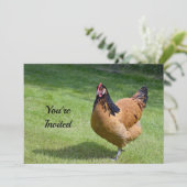 Hühnerschwarz und Gold Vorwerk Foto Geburtstag Einladung (Stehend Vorderseite)