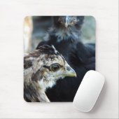 Hühnerstall gemischte Küken Mousepad (Mit Mouse)