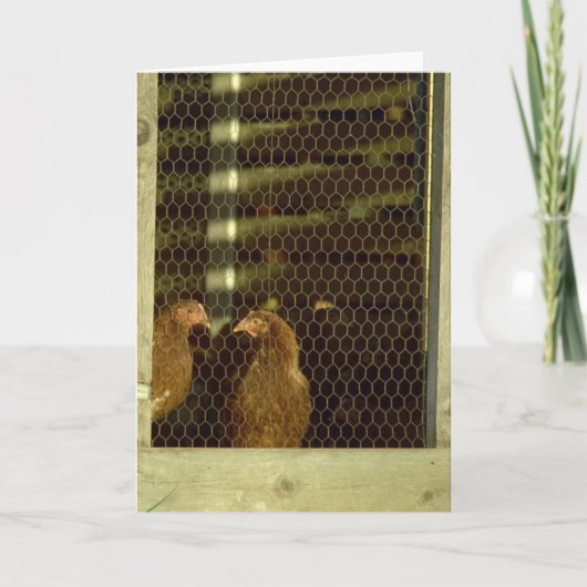 Hühnerstall-Karte Karte (Vorderseite)