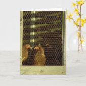 Hühnerstall-Karte Karte (Gelbe Blume)