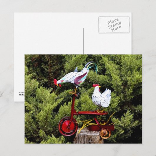 Hühnertrike Postkarte (Vorne/Hinten)