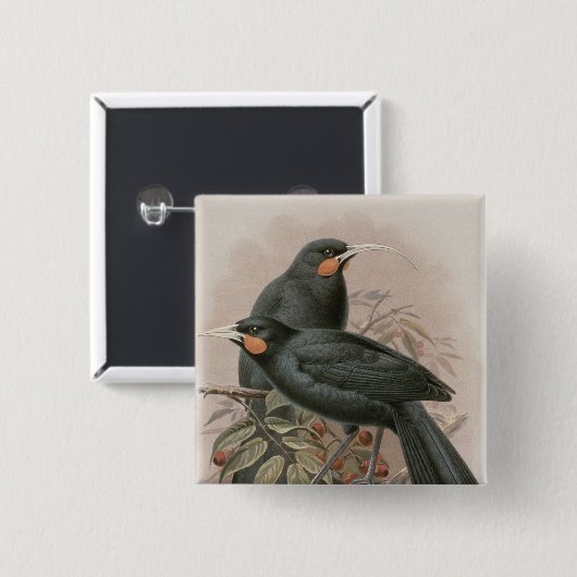 Huia Button (Vorne & Hinten)