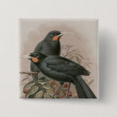 Huia Button (Vorderseite)