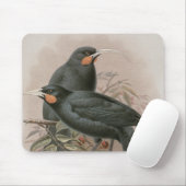 Huia Mousepad (Mit Mouse)