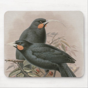 Huia Mousepad