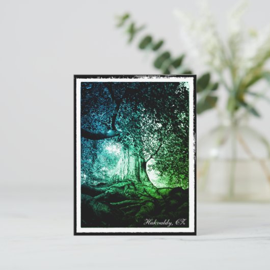 Hukvaldy - Beech Tree, Morava, Tschechien Postcard Postkarte (Stehend Vorderseite)