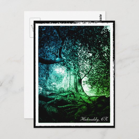 Hukvaldy - Beech Tree, Morava, Tschechien Postcard Postkarte (Vorne/Hinten)