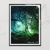 Hukvaldy - Beech Tree, Morava, Tschechien Postcard Postkarte (Vorderseite)