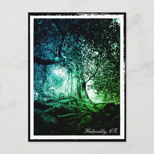 Hukvaldy - Beech Tree, Morava, Tschechien Postcard Postkarte (Vorderseite)