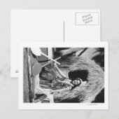 Hula Girl mit Outrigger Canoe Hawaii Fotografie Postkarte (Vorne/Hinten)