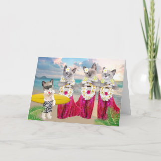 Hula Kittens Grußkarte Karte