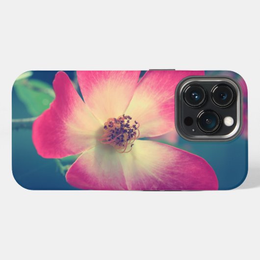 Hülle für Iphone 13 pro Fleur Rose (Rückseite (Horizontal))