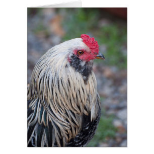 Hüllen Sie Nah und persönlich!