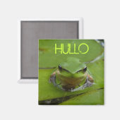 HULLO MAGNET (Vorderseite/Rückseite)