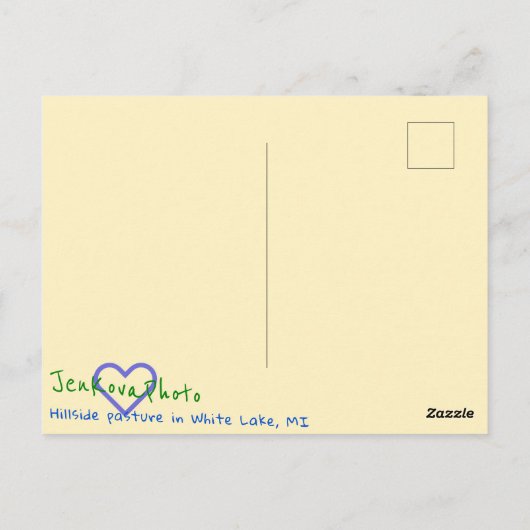 HÜLLSIDE PASTURE BRIGHT POSTCARD POSTKARTE (Rückseite)