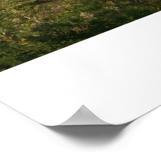 Humahuaca #3 poster (Ecke)