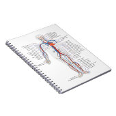 Human Anatomy & Circulation Customized Notebook Notizblock (Rechte Seite)