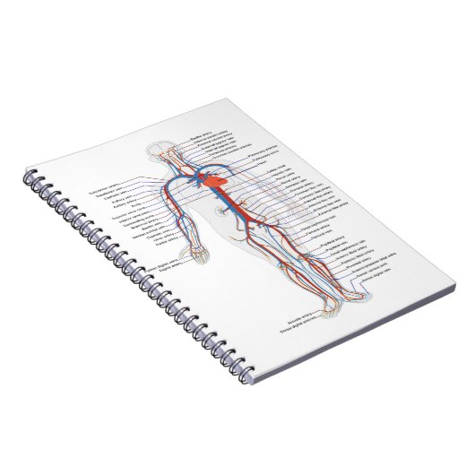 Human Anatomy & Circulation Customized Notebook Notizblock (Rechte Seite)
