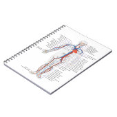 Human Anatomy & Circulation Customized Notebook Notizblock (Linke Seite)