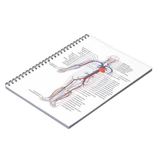Human Anatomy & Circulation Customized Notebook Notizblock (Linke Seite)