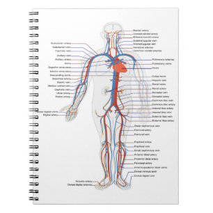 Human Anatomy &  Circulation Customized Notebook Notizblock