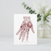 Human Anatomy Hand Muscles Red Postkarte (Stehend Vorderseite)