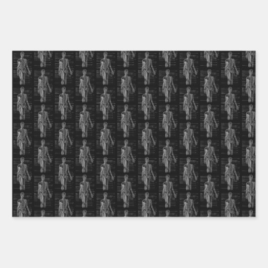 Human Anatomy Medical chart Geschenkpapier Set (Vorderseite 2)