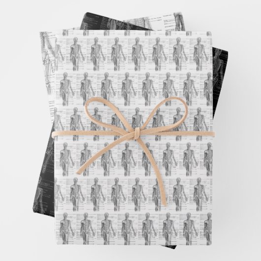 Human Anatomy Medical chart Geschenkpapier Set (Beispiel)