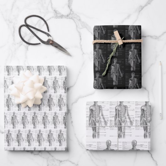 Human Anatomy Medical chart Geschenkpapier Set (Vorderseite)