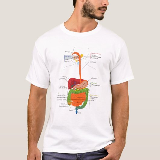 Human Body Digestive System Gastrointestinal Tract T-Shirt (Vorderseite)