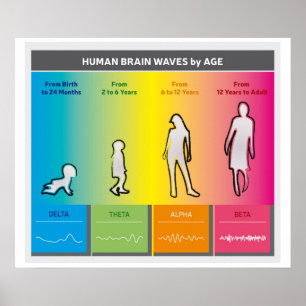 Human Brain Waves by Age Chart Diagram Rainbow Poster